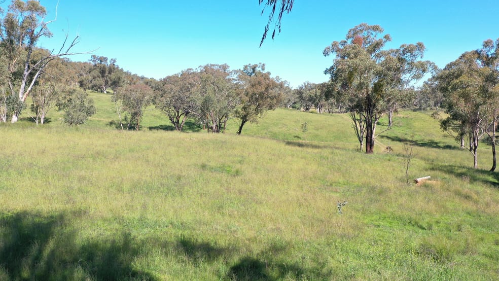 Click to view all images 1058 Old Bundarra Road Barraba NSW 2347 - Image 3