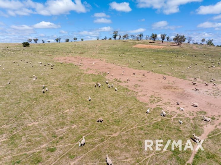 Click to view all images 5919 Gundagai Road Junee NSW 2663 - Image 3