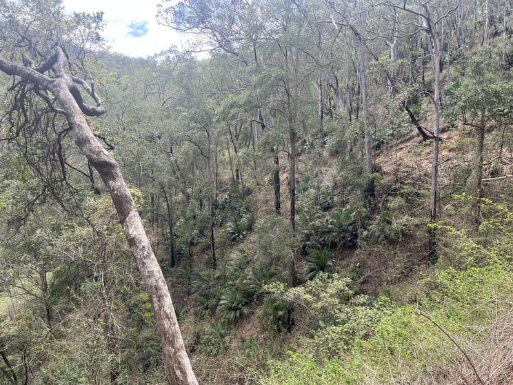 Click to view all images Connollys Creek Road Mount George NSW 2424 - Image 2