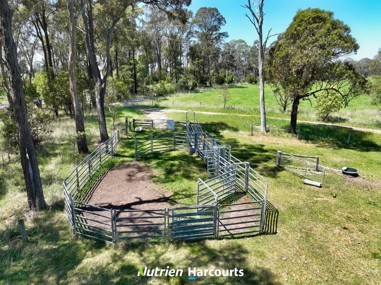 Click to view all images 111 Old Walhalla Road Toongabbie VIC 3856 - Image 2