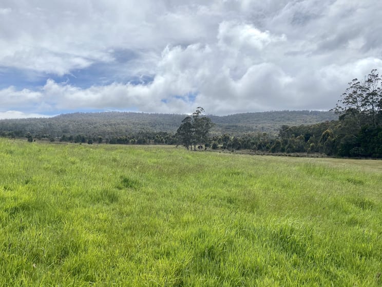 5464 Bass Highway Elizabeth Town TAS 7304 - Image 1