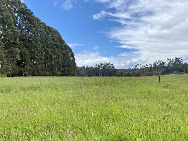 5464 Bass Highway Elizabeth Town TAS 7304 - Image 2