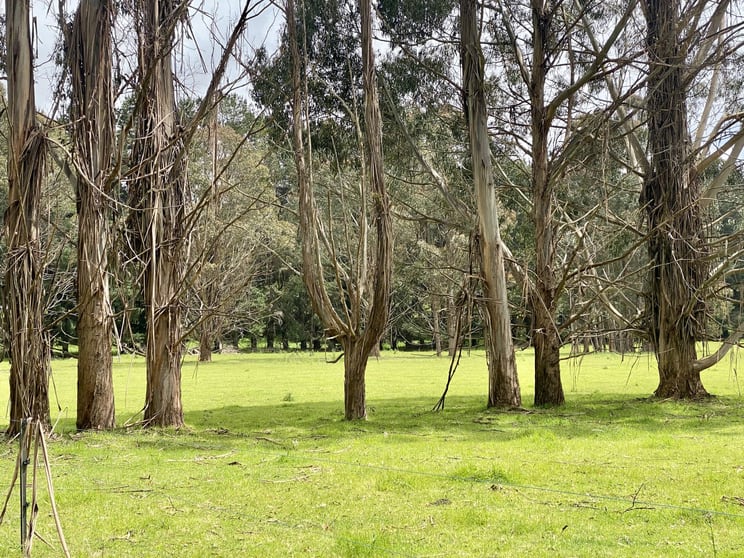 5464 Bass Highway Elizabeth Town TAS 7304 - Image 3