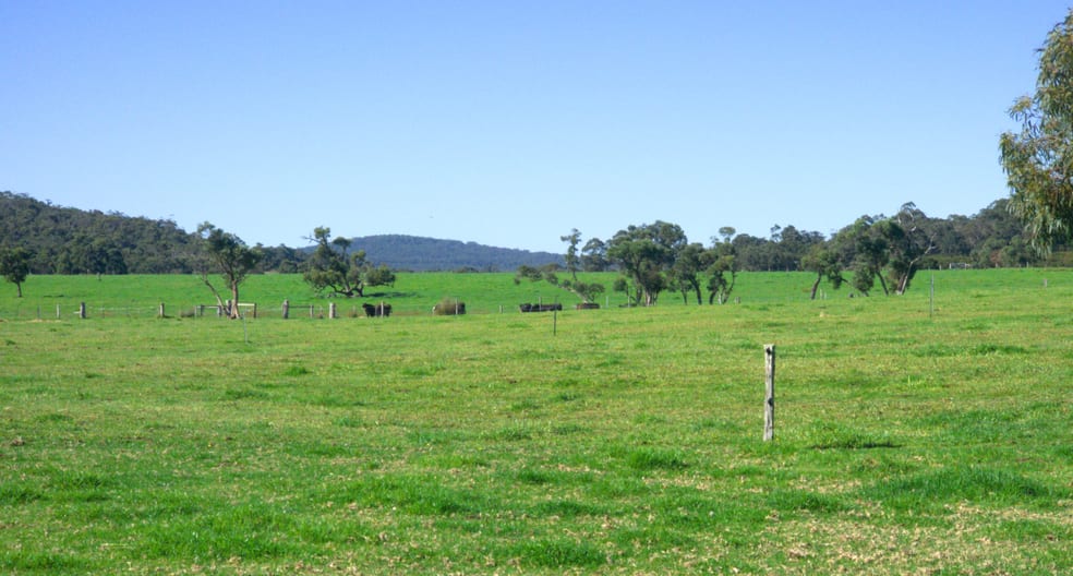 Click to view all images 10 Walter Pierce Road Hazelvale WA 6333 - Image 2