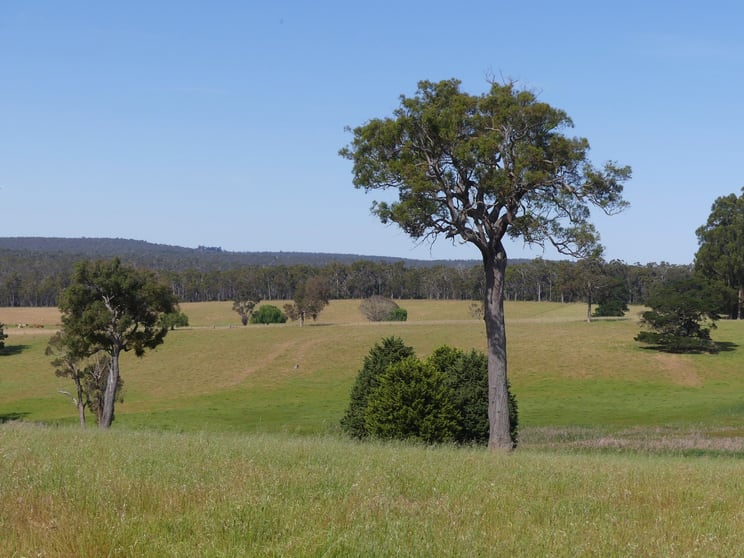 2441 Muir Highway (Perup) Manjimup WA 6258 - Image 1