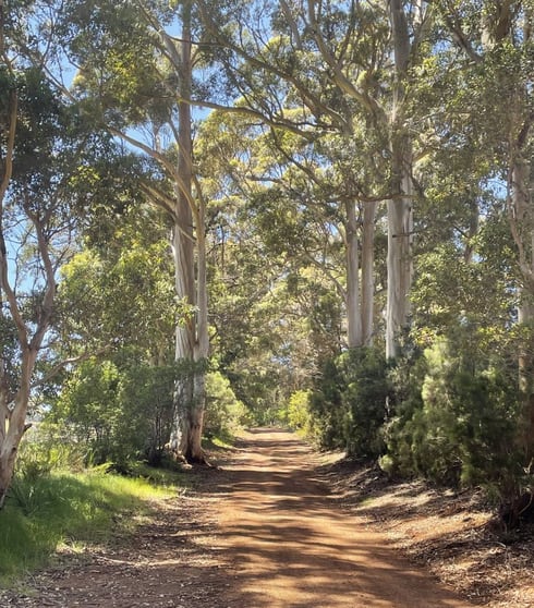 Click to view all images 254 Silver Road Scotsdale WA 6333 - Image 3
