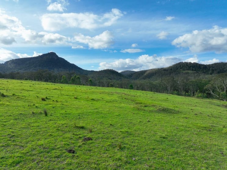 Click to view all images 1132 White Swamp Road Koreelah NSW 2476 - Image 3