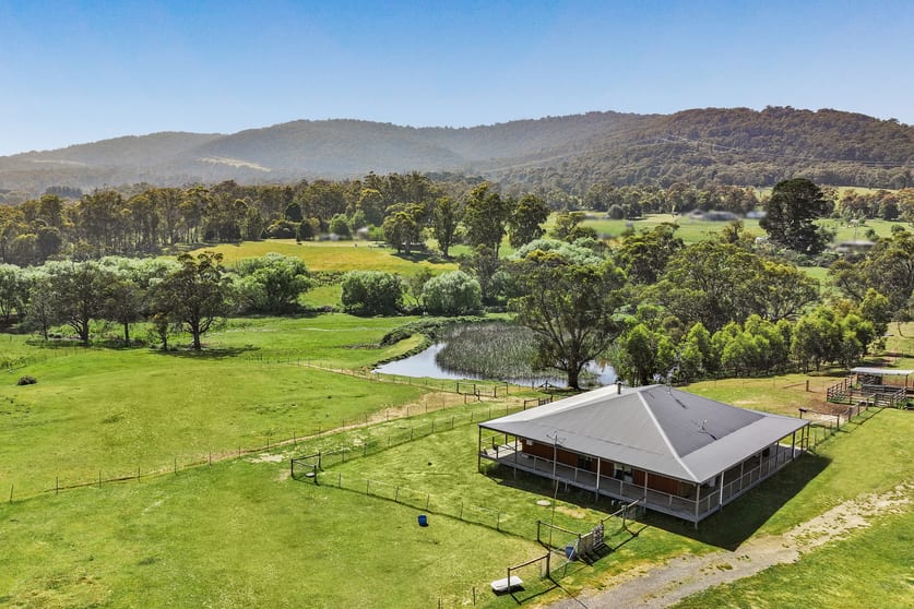 Click to view all images 2426 Mansfield-Whitfield Road Tolmie VIC 3723 - Image 3