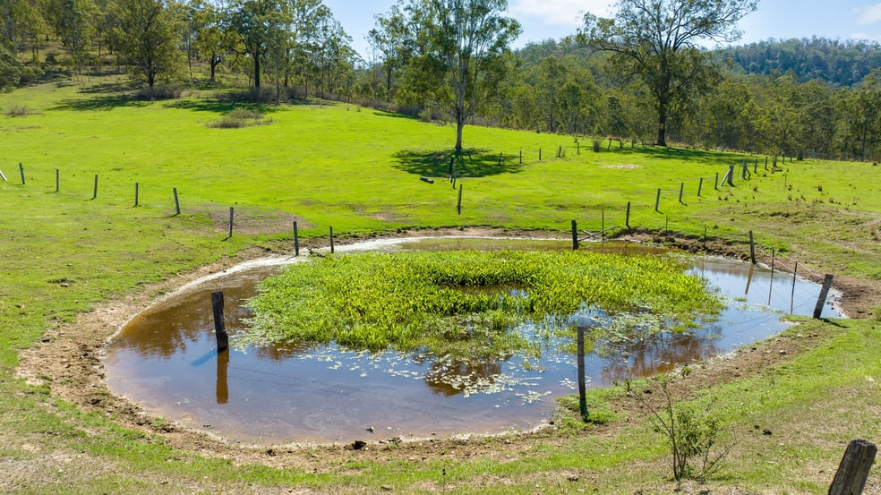 Click to view all images Lot 162 Old Glen Innes Road Buccarumbi NSW 2460 - Image 3