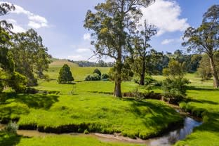 1835 Wild Dog Valley Road Strzelecki VIC 3950 - Image 2