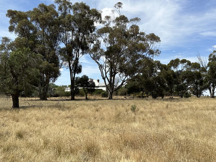Click to view all images 744 Lockhart Boree Creek Road Lockhart NSW 2656 - Image 2