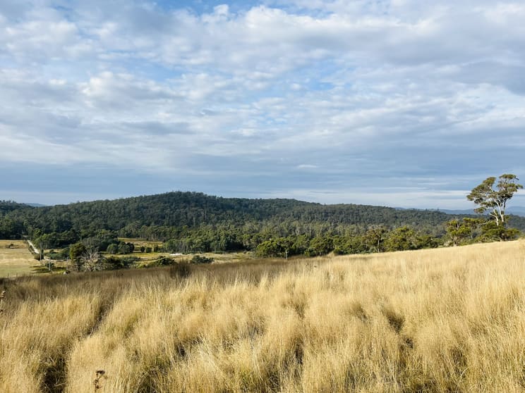 Click to view all images Lots 1,2 &5 West Tamar Highway Loira TAS 7275 - Image 1