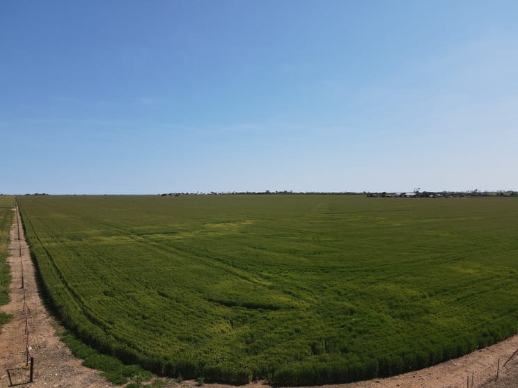 Click to view all images 'Paramac' Allotment 21 Port Victoria Road South Kilkerran SA 5573 - Image 3
