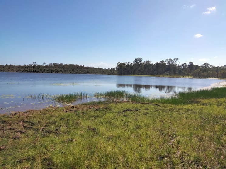 2913 Rosedale Road Yandaran QLD 4673 - Image 2