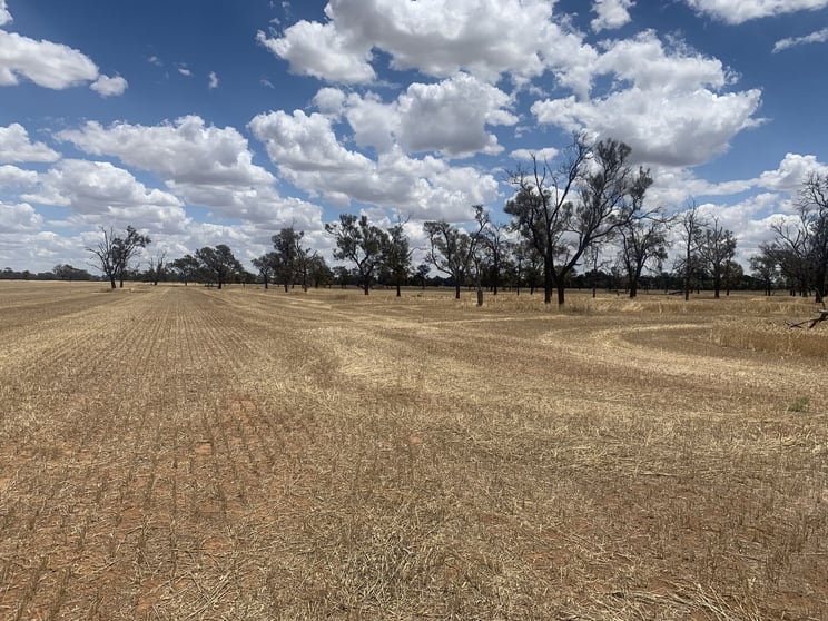 Click to view all images Lowe Road Rochester VIC 3561 - Image 2