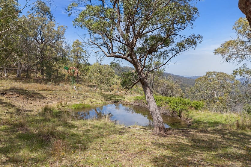 Click to view all images 2515 Nullo Mountain Road Rylstone NSW 2849 - Image 3