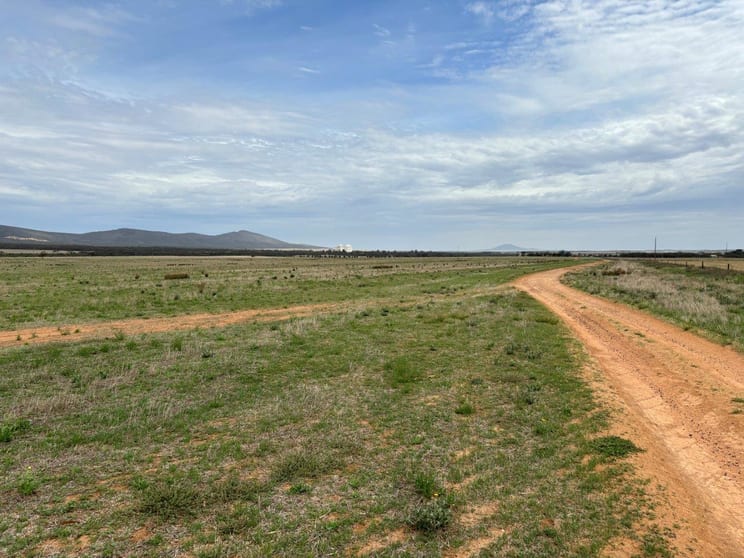 Click to view all images 147 Kobelt Road Darke Peak SA 5642 - Image 1