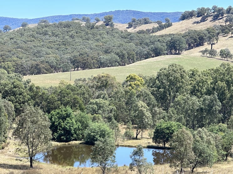 Click to view all images 142 Shaws road Gobur VIC 3719 - Image 1