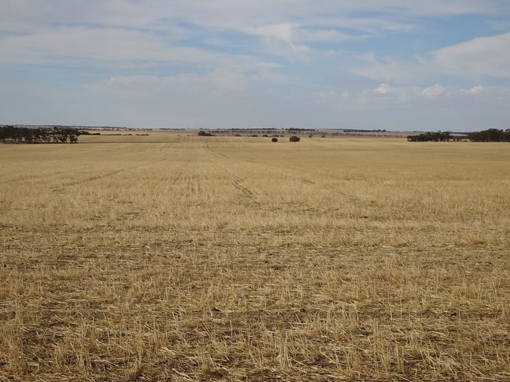Click to view all images Treloars Road North Kukerin WA 6352 - Image 1