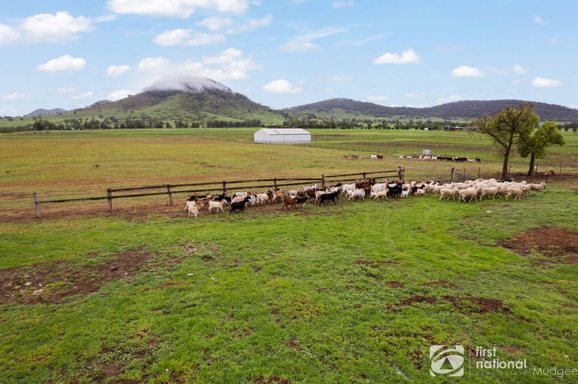 533 Burrundulla Road Mudgee NSW 2850 - Image 1