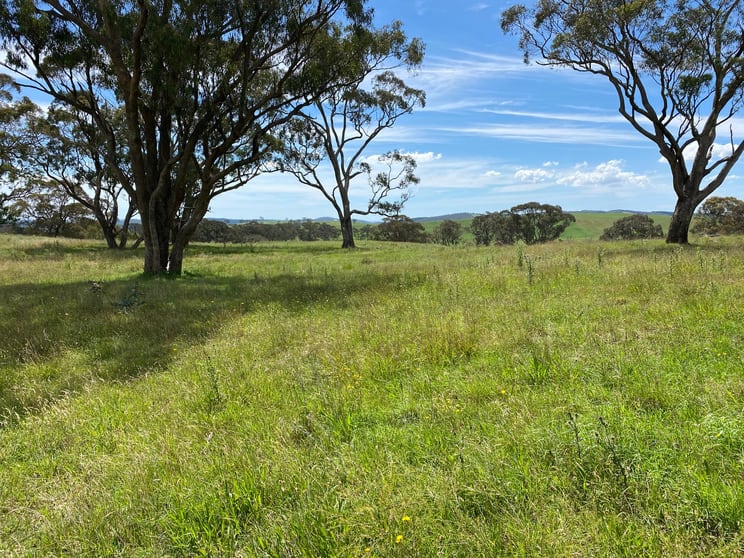 Click to view all images 980 Mayfield Road Essington NSW 2787 - Image 3