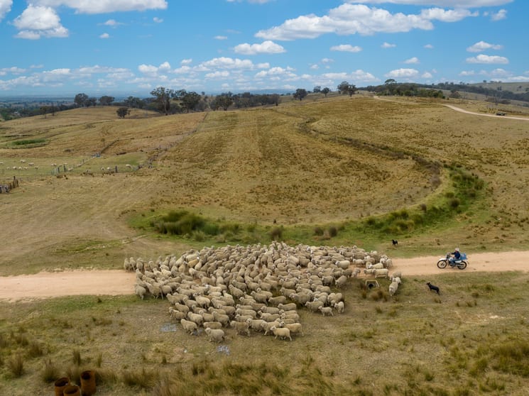 Click to view all images 181 The Bridle Track Duramana NSW 2795 - Image 1