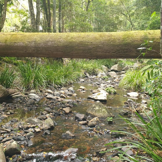 Click to view all images . Lands End Road, Kingsgate NSW 2370 - Image 1