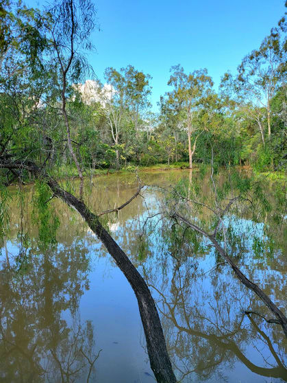 244 Old Esk North Road South East Nanango QLD 4615 - Image 3