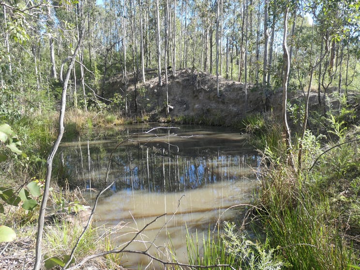 Click to view all images 1/ Cheviot Hills Road Drake NSW 2469 - Image 2