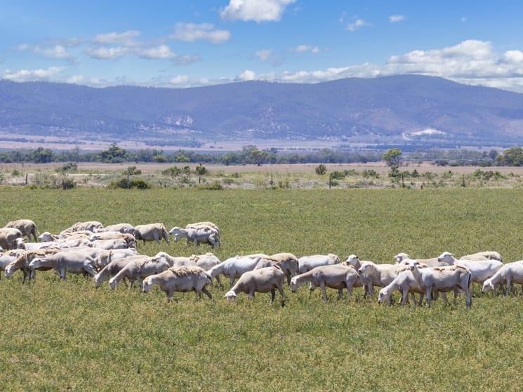 Click to view all images 'Bonnie-Doon' Augusta Highway Baroota SA 5495 - Image 2