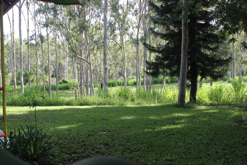 Click to view all images Herbert River Road Innot Hot Springs QLD 4872 - Image 2