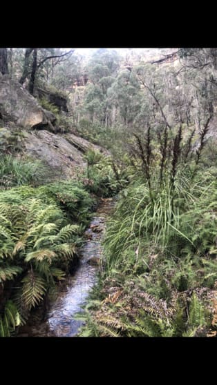 Click to view all images Lot 224 Bells Road Lithgow NSW 2790 - Image 1