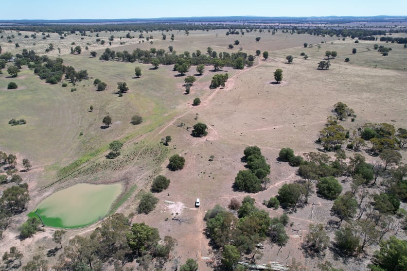 Click to view all images 1 Belah Park Lane, "Belah Park" Peak Hill NSW 2869 - Image 1
