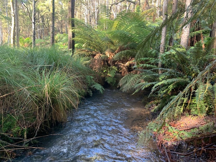 Click to view all images Lot 2 Faheys Lane Irishtown TAS 7330 - Image 2