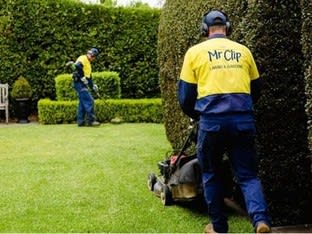 Professional Services  business for sale in Mount Barker - Image 1