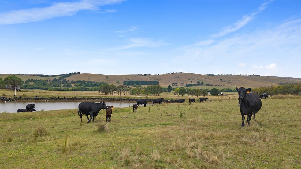 Click to view all images 92 Hills Lane Blayney NSW 2799 - Image 2