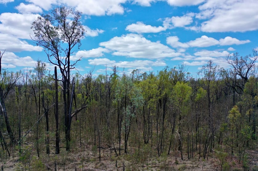 Click to view all images Lot 35 Arnolds Road Tara QLD 4421 - Image 3