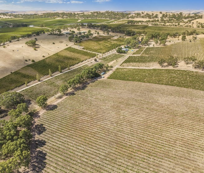 Click to view all images 'Highview' Slaughterhouse Road Clare SA 5453 - Image 2