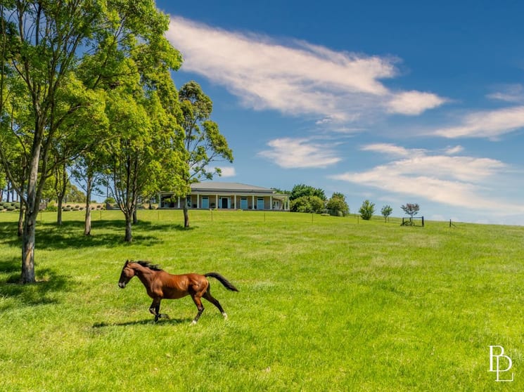 Click to view all images 490 Back Forest Road Far Meadow NSW 2535 - Image 2