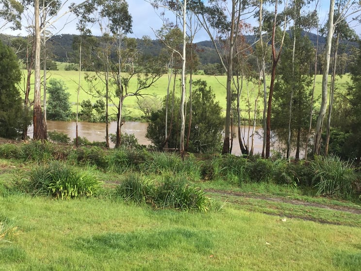 Click to view all images 558 Upper Scamander Road Upper Scamander TAS 7215 - Image 2