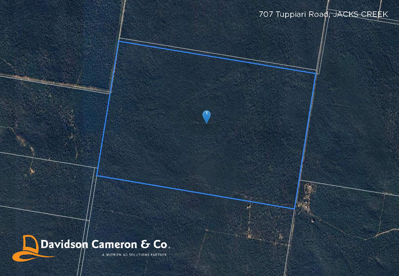 Click to view all images 707 Tuppiari Road Jacks Creek NSW 2390 - Image 3