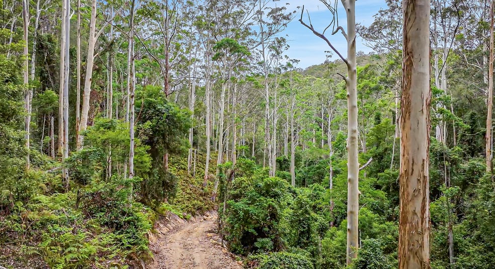 Click to view all images Parcel J Hitcham Park Dairy Arm Road Laguna NSW 2325 - Image 2