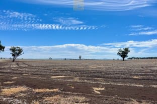 Click to view all images 186 Little Jacks Creek Road Willow Tree NSW 2339 - Image 2