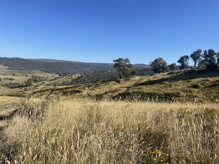 Click to view all images 1230 Maragle Road Maragle NSW 2653 - Image 1