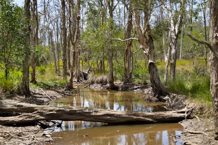 435 Ford Road Priestdale QLD 4127 - Image 3