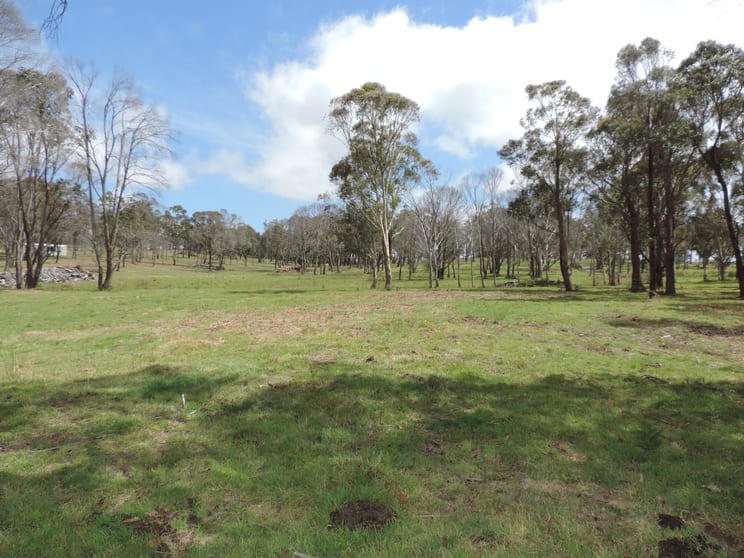 1969 Wombeyan Caves Road Taralga NSW 2580 - Image 2