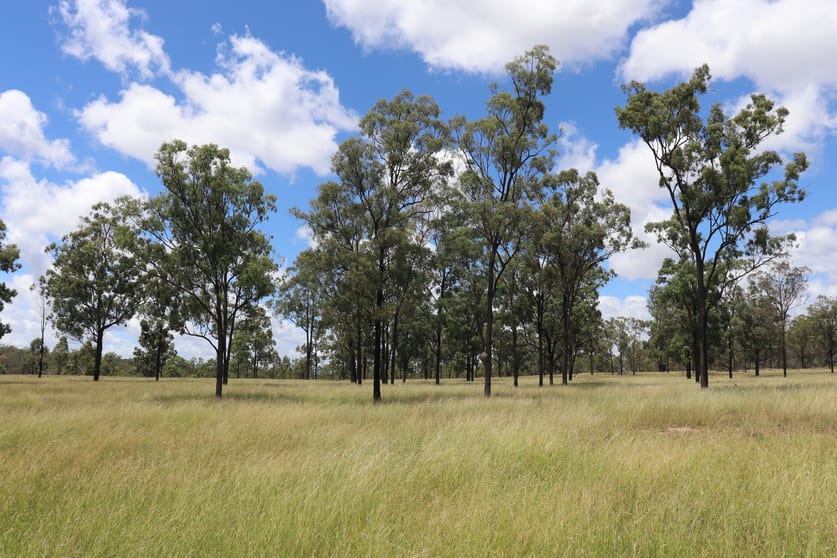 Click to view all images Lot 12 Deems Road Monogorilby QLD 4626 - Image 2
