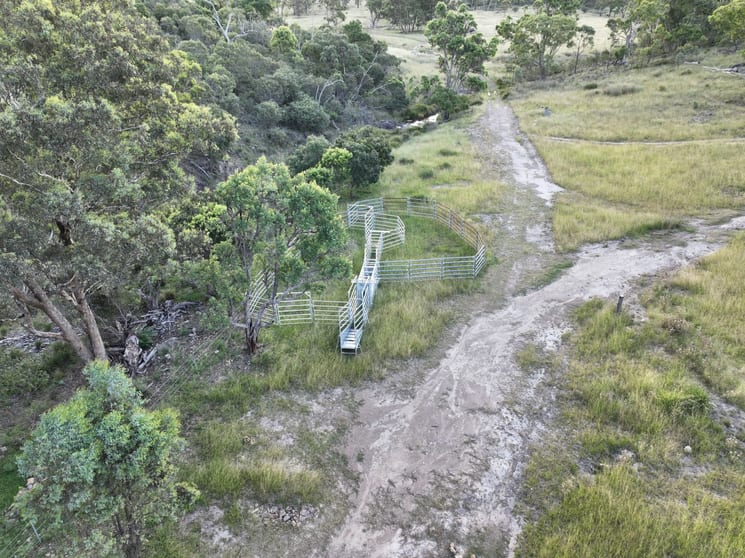 Click to view all images 1713 Back Creek Road Tenterfield NSW 2372 - Image 3