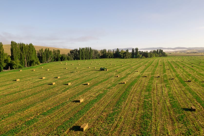 Click to view all images 'The Silver Poplars' 207 Rose Valley Road Cooma NSW 2630 - Image 2