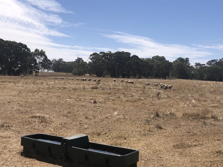 Cnr Wenkes Road & Barbers Road Walla Walla NSW 2659 - Image 1